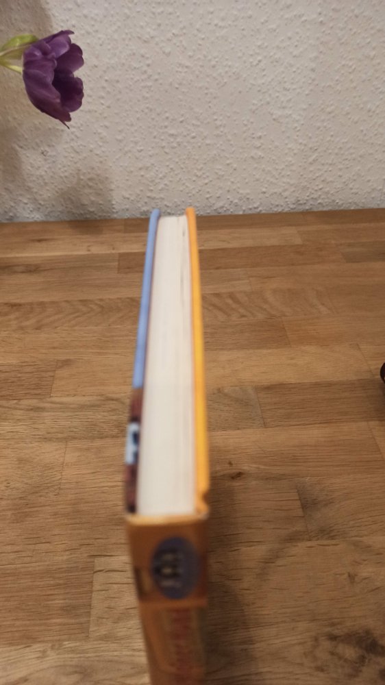 Große Klasse, kleiner Hund, ab 10 Jahre