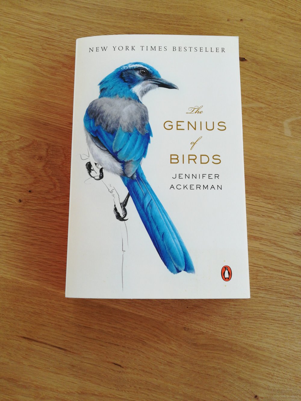 The Genius of Birds by Jennifer Ackermann / Genies der Lüfte 