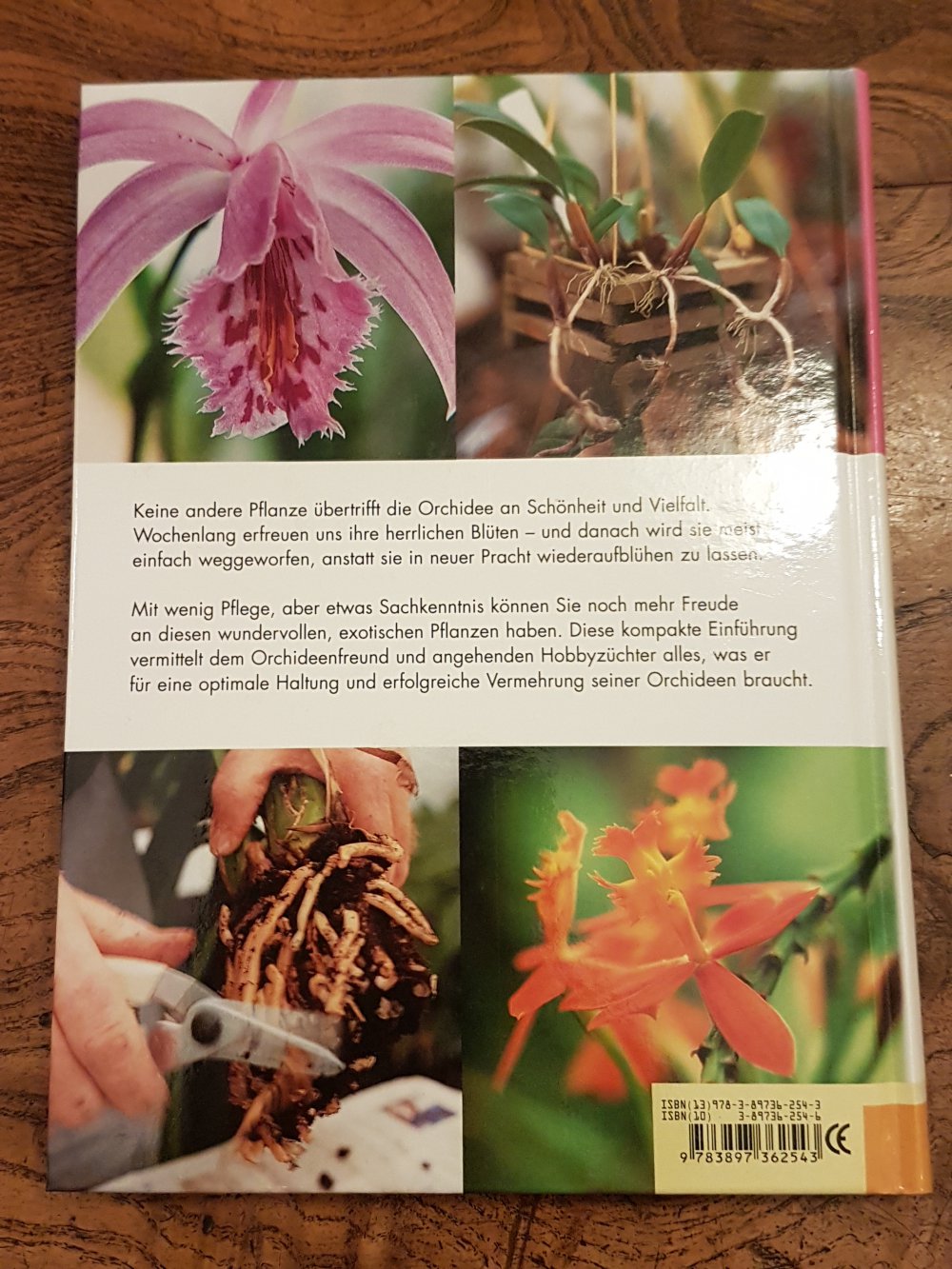 Buch Der perfekte Orchideenführer - Ratgeber