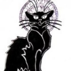 schwarzerkater