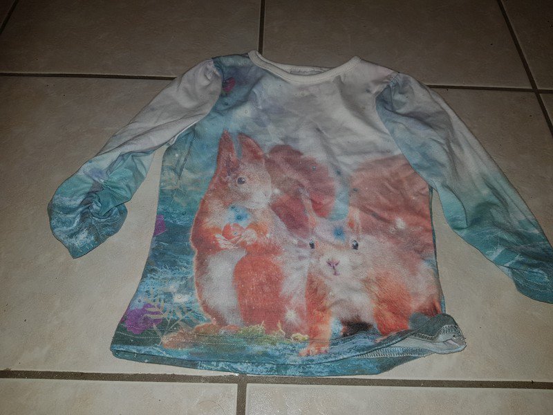 Langarmshirt Gr 98