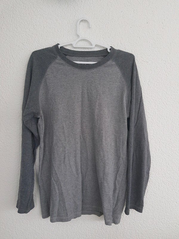 Graues langärmeliges T-Shirt von Dickies Skate Alternativ