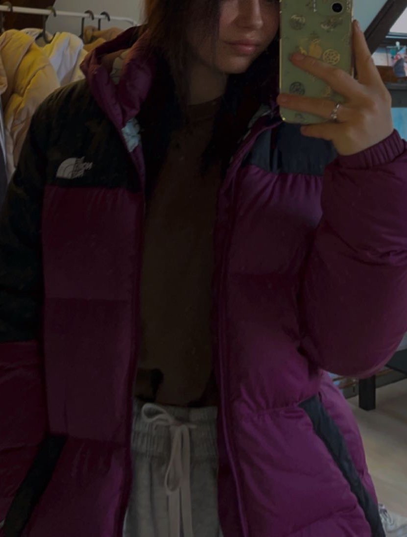 the north Face